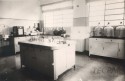 Laboratório da Divisão de Biologia Animal do IBPT, 1953.