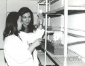 Angela Preto e Elisa Maines Gomes no Laboratório de Cultivo Celular.