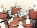 Matéria-prima para produção de vacina anti-rábica canina. 
