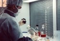 Maurício Fernandes no Laboratório de Cultivo Celular do Tecpar, em 19 de setembro de 1991.