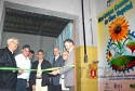 Inaugurada, em 19 de outubro de 2006, na Colônia Witmarsun, em Palmeira, a primeira miniusina de produção de óleo vegetal do Estado. 